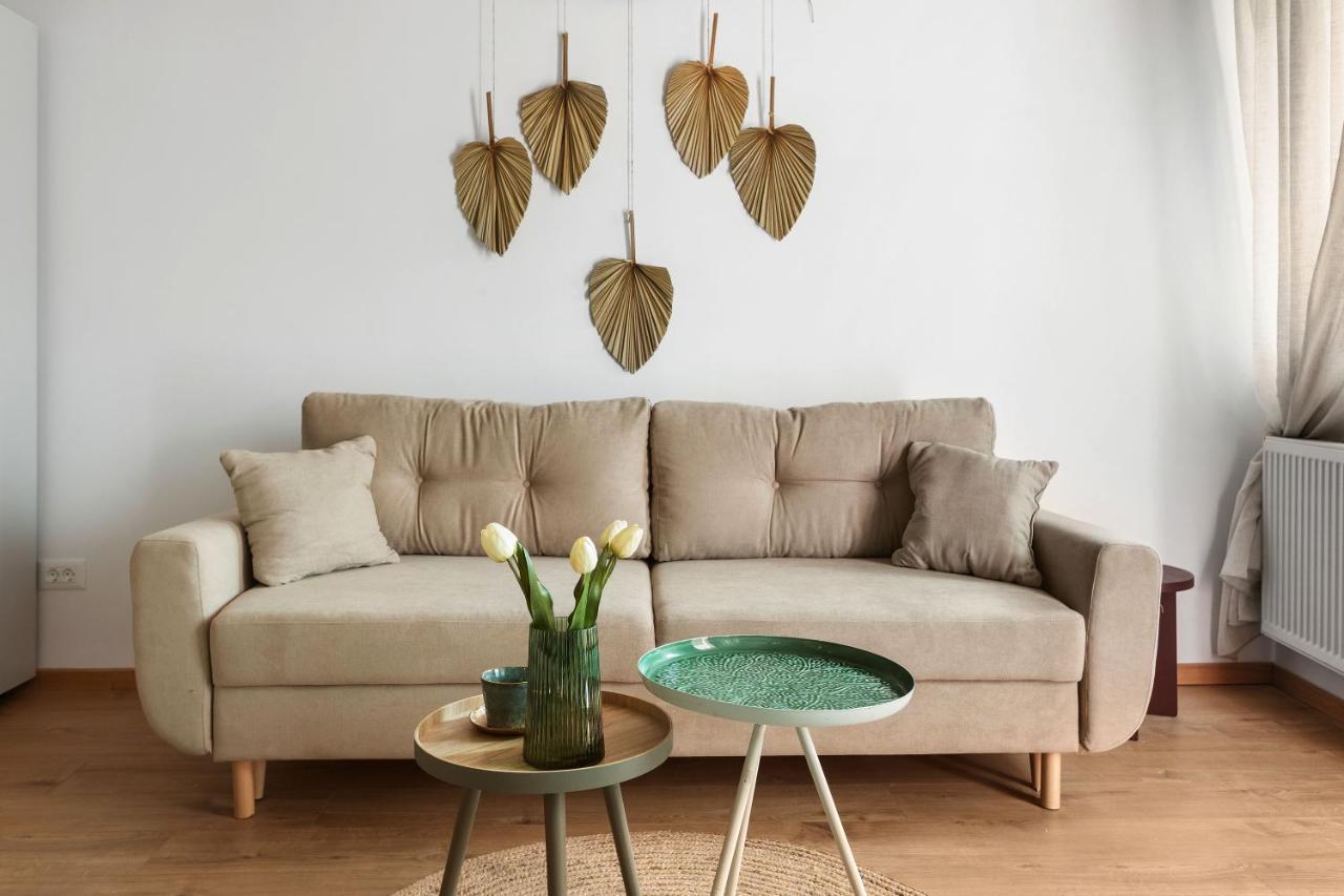 Roua Ludica Apartments Брашов Екстериор снимка